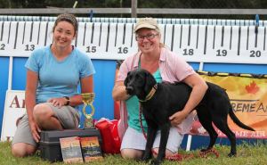 semi-pro retrieve -jackie