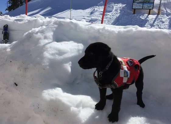 trooper-first-day-at-work