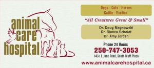 animal care hospital logo