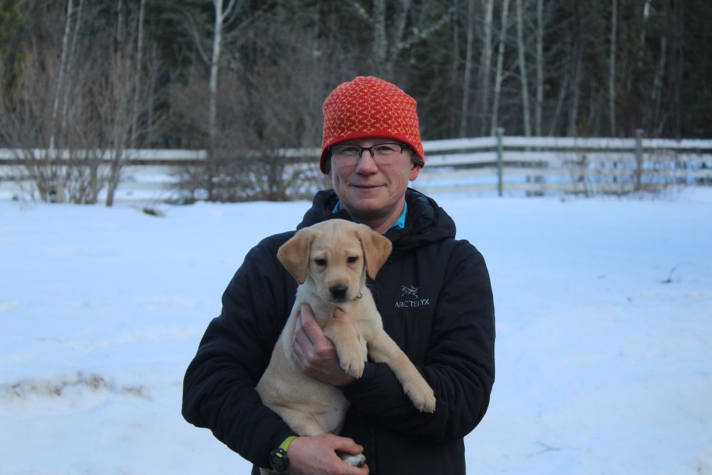 dyna spinelli family