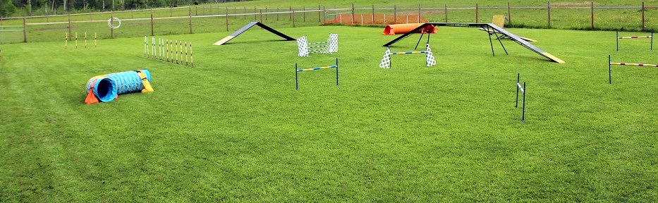 agility field